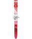 Swatch RED RIVERS AND MOUNTAINS SO29Z105